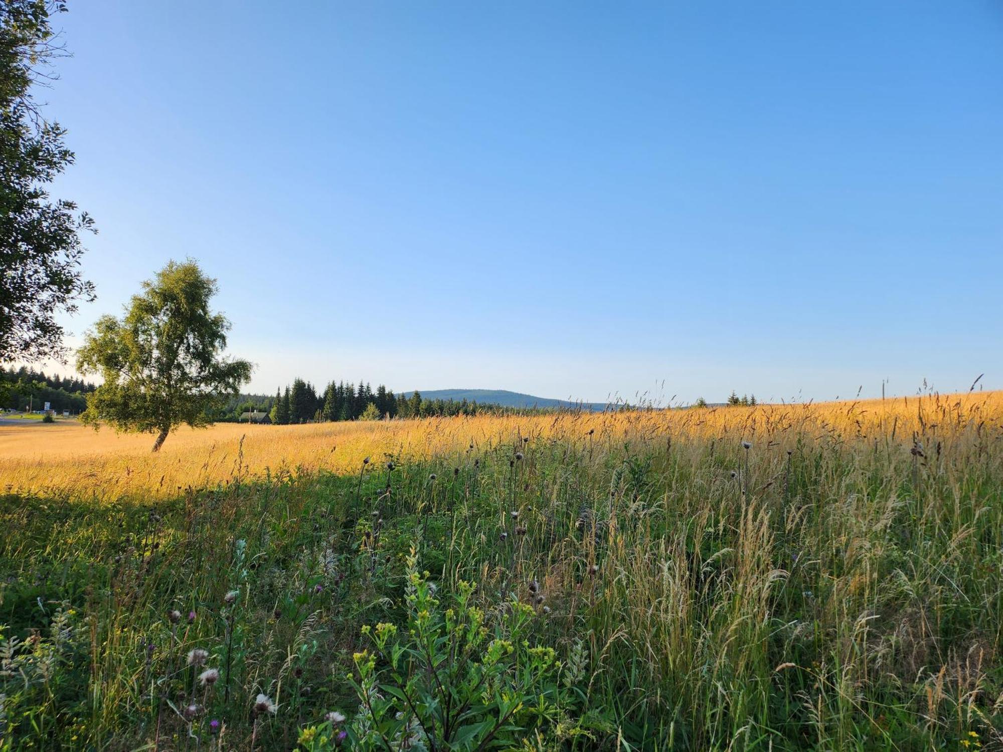 Salet Hrabetice *