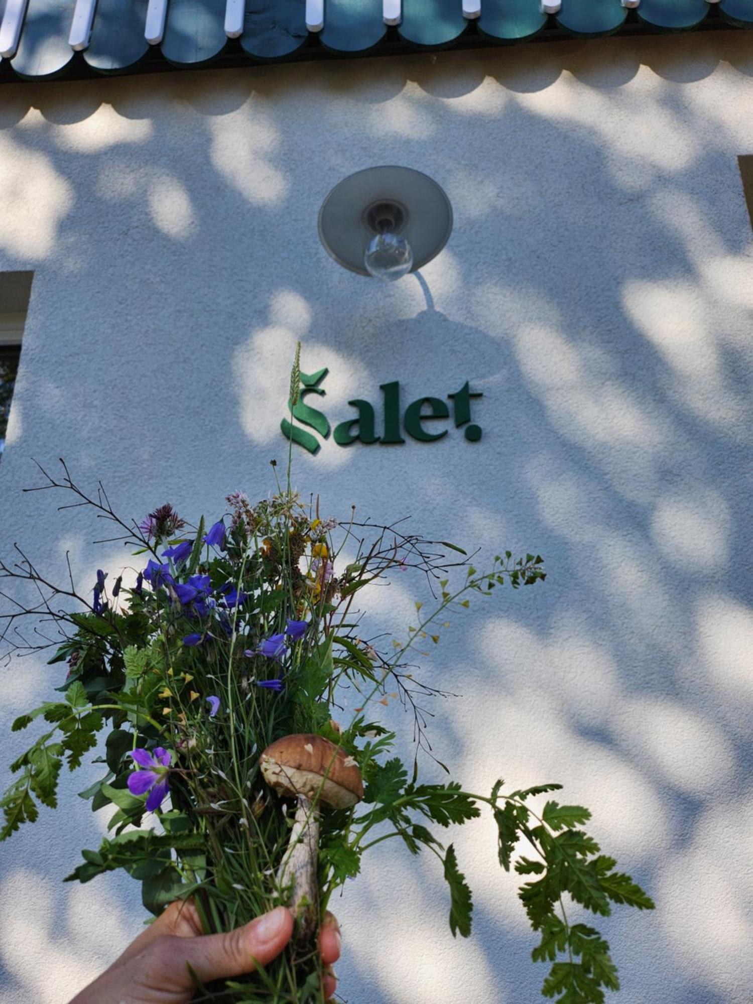 Appartamento Salet Hrabetice *
