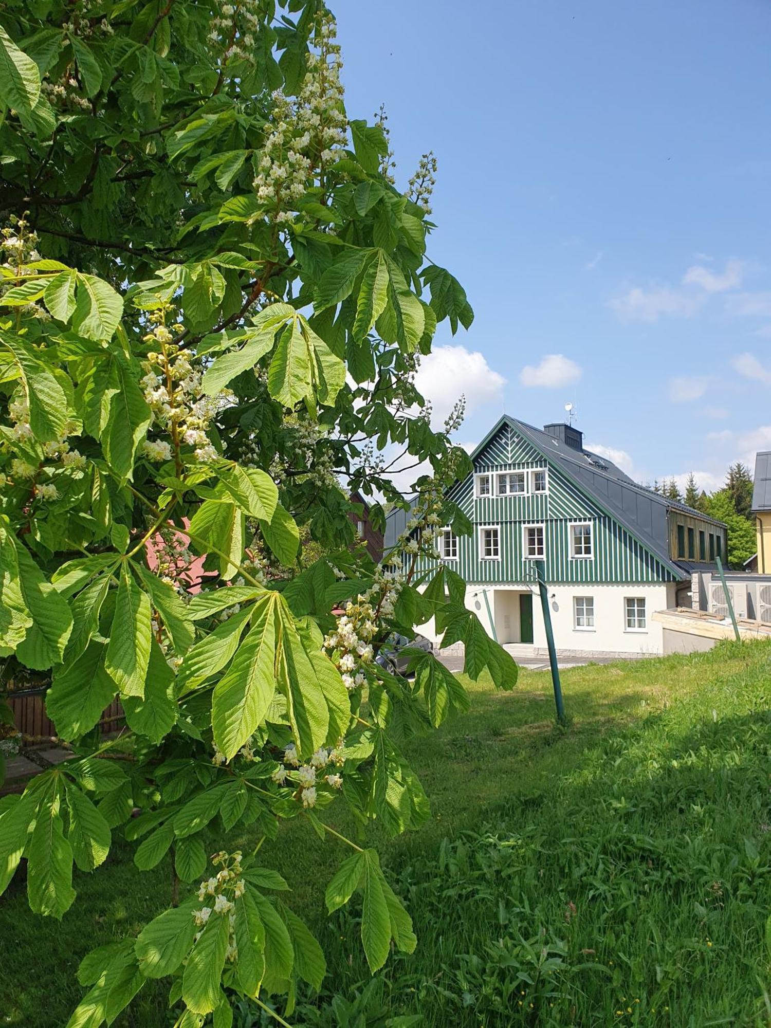 Apartment Salet Hrabetice *
